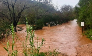 Mau tempo: Inundações no Algarve afetam sobretudo Olhão, Loulé, Silves e Albufeira