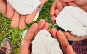 CÂMARA DE LOULÉ ASSINALA DIA INTERNACIONAL DAS FLORESTAS/DIA MUNDIAL DA ÁRVORE