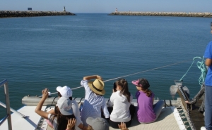 EDUCAÇÃO AMBIENTAL FOI APOSTA FORTE NO ANO LETIVO 2017/18 NO MUNICÍPIO DE LOULÉ