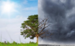 Lagos apresenta estratégia para adaptação às Alterações Climáticas