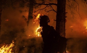 Incêndios: Três dos cinco setores do fogo em Odemira ainda ativos
