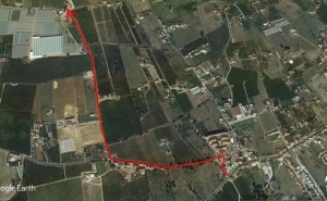 Dia aberto do GO PodaCitrus  