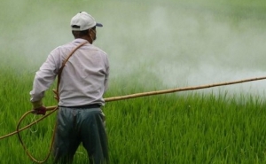 Governo avança com proibição de glifosato em espaços públicos