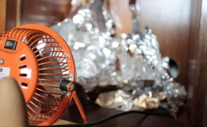 FESTIVAL SOM RISCADO PROMOVE WORKSHOP SOBRE MICROSCOPIA SONORA