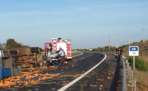Camião carregado de laranjas despista-se na A22