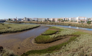 Museu de Lagos acolhe conversa sobre o Dia Mundial das Zonas Húmidas