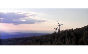 Colóquio A Fiscalidade Ambiental em Debate