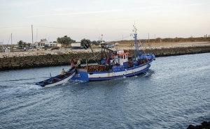 Pela sustentabilidade da pesca de cerco