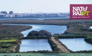 DIA ABERTO DA RESERVA NATURAL DO SAPAL DE CASTRO MARIM E VILA REAL DE  SANTO ANTÓNIO, NO SEU 40º ANIVERSÁRIO 