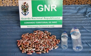 GNR apreende haxixe em Almancil