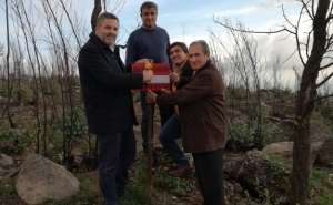 Recolocação de sinalética destruída pelo Incêndio em Monchique