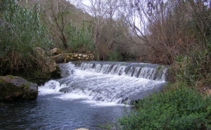 ATIVIDADES NA ROCHA DA PENA E FONTE DA BENÉMOLA DÃO A CONHECER INTERIOR DO CONCELHO DE LOULÉ