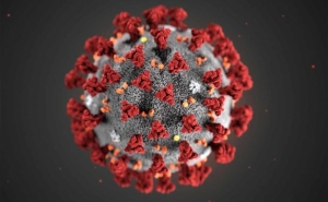 Covid-19: Número de trabalhadores rurais infetados em Faro sobe para nove