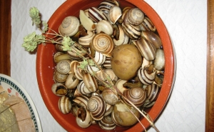 Rota do Caracol traça mapa do petisco em São Brás de Alportel