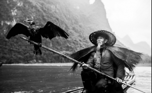 FOTÓGRAFO EDUARDO PEREIRO LEVA «PROJETO ÁSIA» A QUARTEIRA