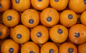 Cinco hotéis do Algarve juntam-se à AlgarOrange para promover os Citrinos do Algarve IGP