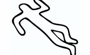 Homem de 56 anos morre colhido por comboio em Silves