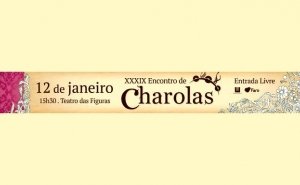 BIBLIOTECA MUNICIPAL DE FARO DESTACA OS «MELHORES LEITORES» DE 2019