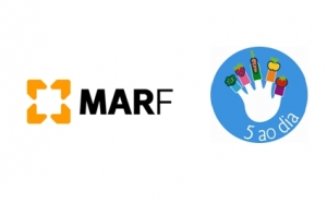 4000 Crianças já participaram no Programa 5 ao Dia