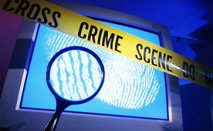 PJ | Cooperação internacional é vital para ultrapassar desafios do cibercrime