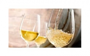 NOVO VINHO DO PORTO PARA SER BEBIDO COM GELO JÁ FOI LANÇADO