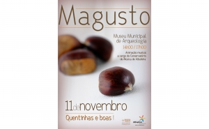 S. Martinho está de regresso a Albufeira com lume, castanhas e vinho como manda a tradição 