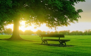 Funeral de Marta Costa realiza-se na próxima quarta feira 29