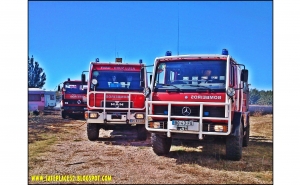 Bombeiros do Algarve ajudam a combater incêndio no centro do País