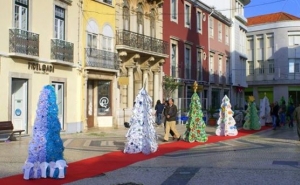 Atos de Vandalismo sobre as árvores de Natal