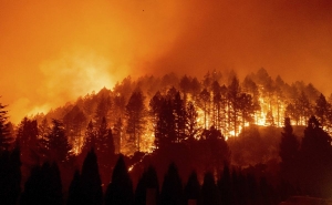 PCP comenta incêndios nos concelhos de Faro e Loulé
