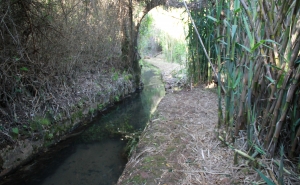  Passeio Pedestre «Rota da Água em Querença»