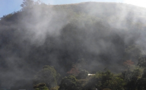 Central de Sines é unidade que mais polui o ar 