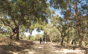 TURISMO DO ALGARVE REÚNE-SE NA ROTA VICENTINA