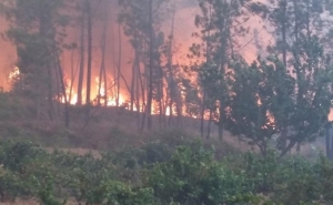 Incêndios: Proteção Civil eleva para nove os distritos em alerta laranja no sábado