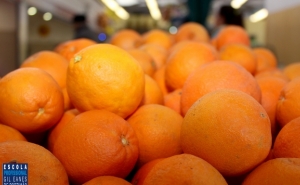 Mercado da Avenida S João de Deus volta a dedicar semana à laranja do Algarve 