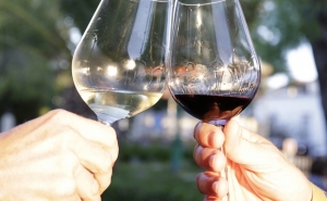 Tavira «Os Dias do Vinho»
