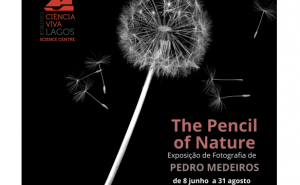 Inauguração de Exposição | The Pencil of Nature / Centro Ciência Viva de Lagos