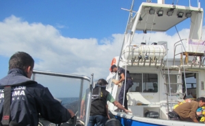 Polícia Marítima e ANACOM em operação conjunta no sul do país