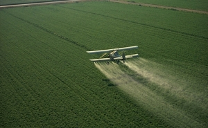 Semana de Acção Contra Os Pesticidas