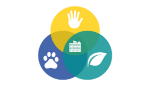 LOULÉ PARTICIPA EM ENCONTRO DA REDE EUROPEIA «ONE HEALTH 4 CITIES» EM ESPANHA
