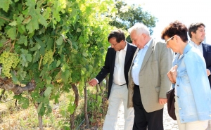 PRESIDENTE DO PARTIDO POPULAR EUROPEU VISTA ALBUFEIRA A CONVITE DE CARLOS SILVA E SOUSA