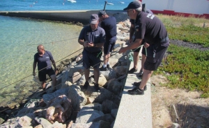 Autoridade Marítima em limpeza da «Prainha» na ilha da Culatra
