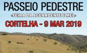 Aguardente de Medronho é tema de Passeio Pedestre na Cortelha