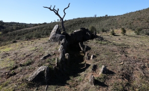 MUNICÍPIO DE LOULÉ VALORIZA ANTAS E A ESCRITA DO SUDOESTE DO AMEIXIAL