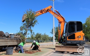 Requalificação da Avenida 24 de Junho em Altura avança