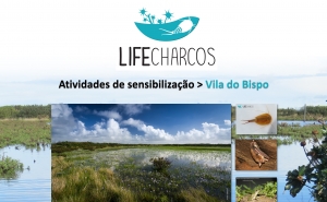 Palestras e visitas de campo para conhecer a Biodiversidade dos Charcos Temporários Mediterrânicos