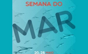 Município de Lagos promove SEMANA do MAR