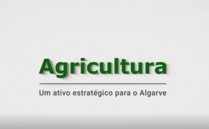 Do campo ao laboratório: 