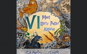 VI Meet Harry Potter