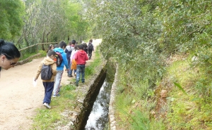 Semana da Floresta, da Água e da Meteorologia integra a iniciativa “Limpar Portugal 2015” no Concelho de Loulé